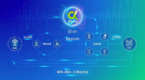 能源運營賦能，讓千行百業降費節碳——胡江論公共資源交易技術服務的綠色變革