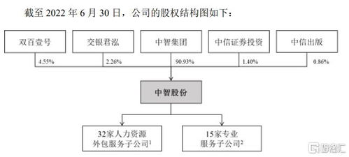 中智股份終止IPO背后的戰略抉擇 三年分紅35億，聚焦人力資源與公共資源交易技術服務
